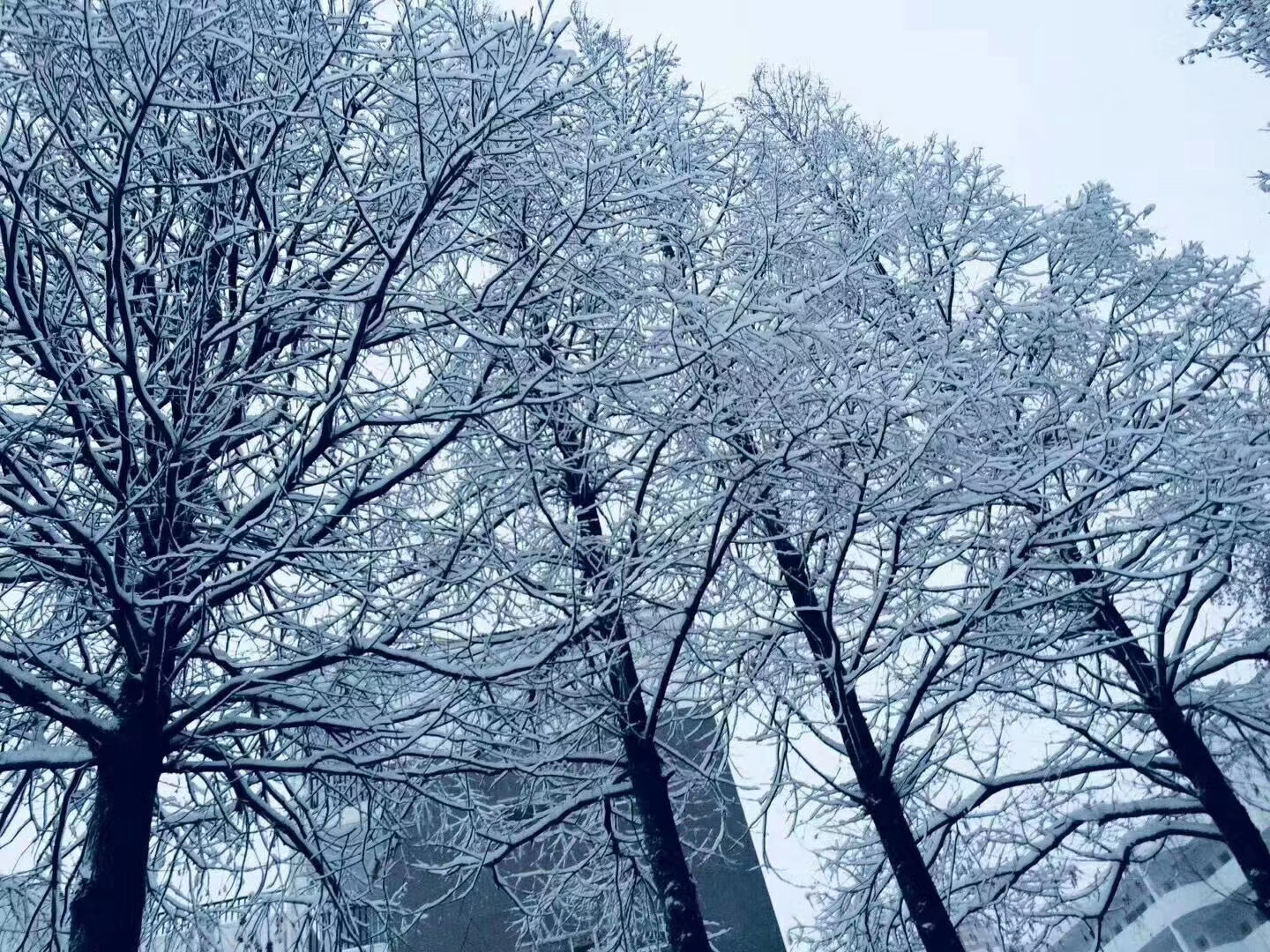 微信图片_20211207103831.jpg