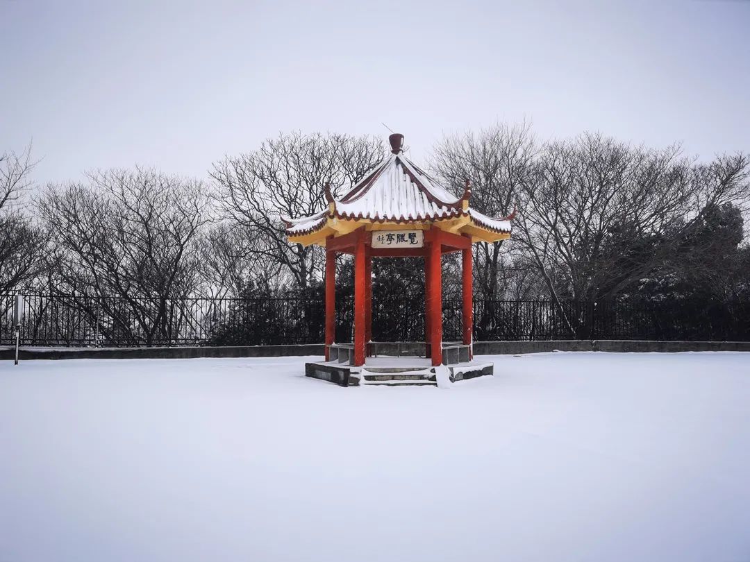 图片8.jpg