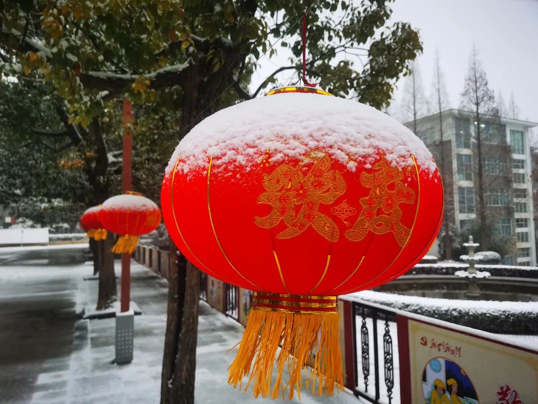 图片12.jpg